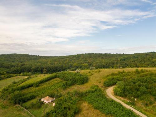DJI 0832