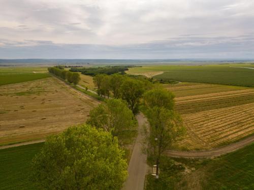 DJI 0903